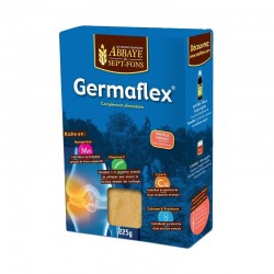 Germaflex - Monastery of...