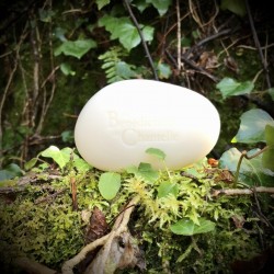 Savon au naturel - les bienfaits de l'aloe vera