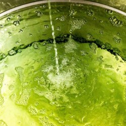 Bain de bouche emeraude miel et sauge